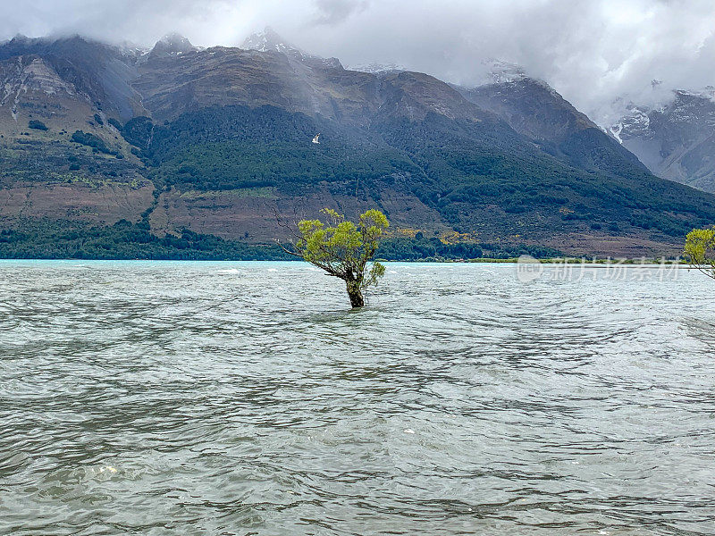 Glenorchy Wharf Lake Wakatipu，奥塔哥，新西兰